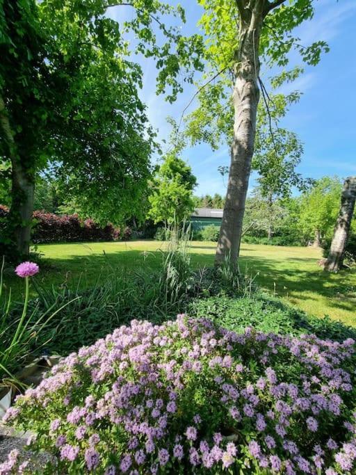 Willkommen In Frifelt Naehe Romo Mit Wunderschoenen Garten สแกร์เบค ภายนอก รูปภาพ