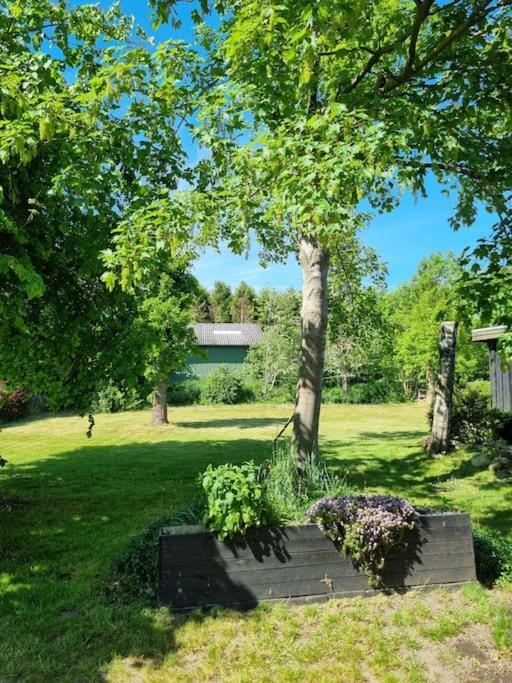 Willkommen In Frifelt Naehe Romo Mit Wunderschoenen Garten สแกร์เบค ภายนอก รูปภาพ